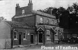 Plume of Feathers